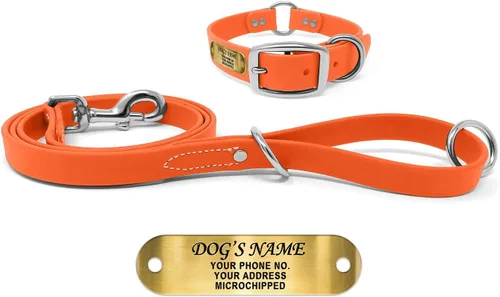 Vista 21 de Regal Dog Products Collar de Perro Naranja Mediano con Placa de Nombre Grabada Personalizada - Ajuste Personalizado, Resistente, Fácil de Limpiar
