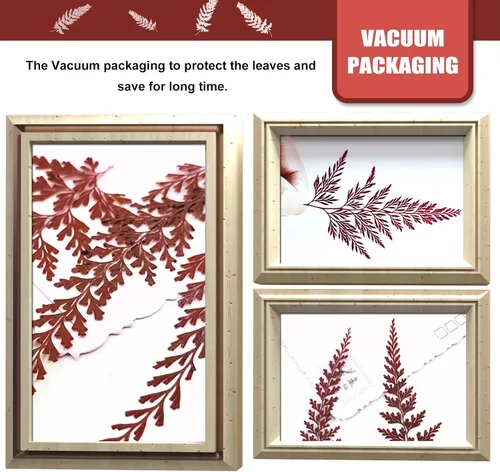 Vista 8 de ALJ Hojas de helechos secos, 42 hojas de helecho prensadas de color rojo natural, hojas prensadas para plantas reales para arte de resina