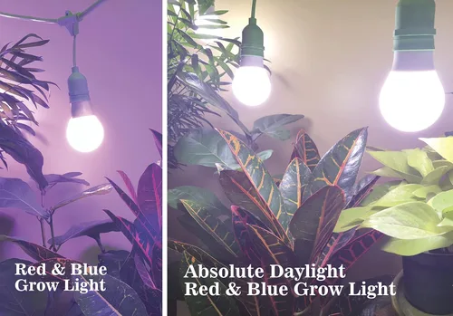 Vista 2 de Miracle LED Kit de luz de cultivo/abrazadera de 9W, rojo/azul
