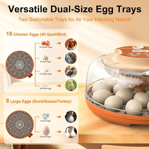 Vista 6 de Incubadora de 18 huevos, giro automático con control de temperatura y humedad, vela de huevos, vista 360 con ventilación de aire, recarga automática