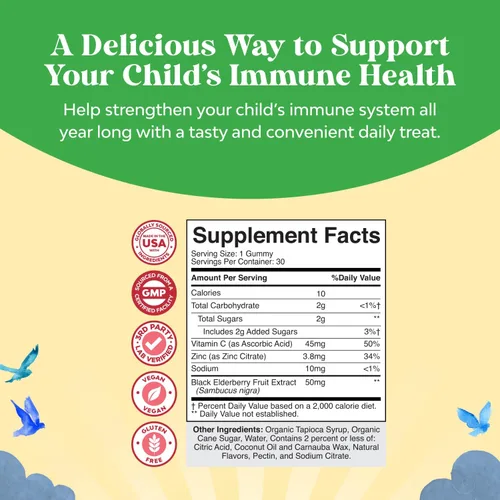 Vista 7 de Gomitas de saúco para niños con zinc y vitamina C, deliciosas gomitas de saúco negro Sambucus para apoyo inmunológico de niños, apoyo diario