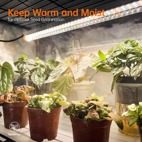 Vista 3 de Bstrip - Invernadero interior con cubierta Oxford Grow Light Blanco cálido
