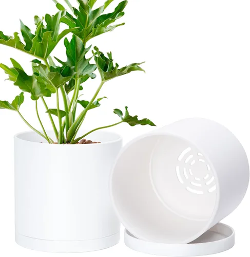 Vista 25 de D'vine Dev - Paquete de 2 macetas de plástico modernas de 4 pulgadas, pequeñas macetas de jardín para plantas con orificios de drenaje y platillos