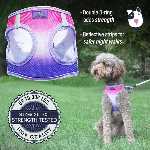 Vista 3 de Doggie Design Arnés para perro – Arnés para perro sin estrangulamiento, chaleco para perro, malla de poliéster, arnés para mascotas, diseño simple