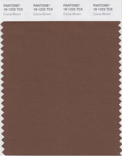 Vista 24 de PANTONE Tarjeta de muestra de color inteligente 18-1314X, bellota