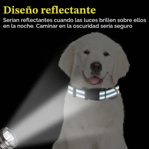 Vista 6 de Sanwuta - 12 collares reflectantes para cachorros, nailon ajustable a