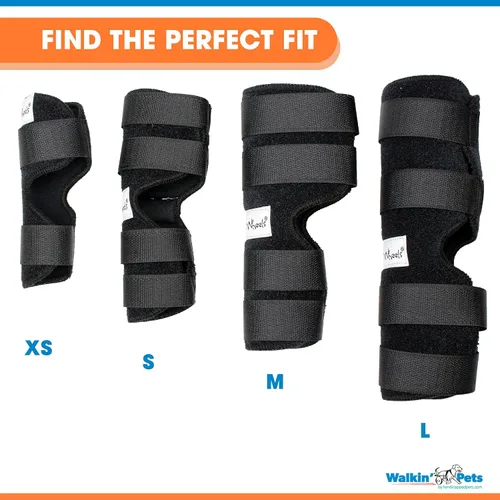 Vista 7 de Walkin' Hock Hugger - Soporte para perro para patas traseras Soporte extendido para articulaciones de cornejo para la pierna trasera de los perros