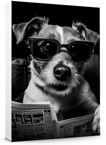Vista 70 de Thuan Affenpinscher - Póster de lienzo con tus fotos, arte de pared para decoración del hogar, regalo conmemorativo para amantes de las mascotas