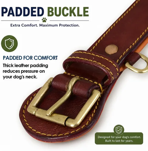 Vista 5 de Collar de perro de cuero genuino, pequeño, acolchado transpirable, hebilla acolchada Hebilla de latón, pequeña, tamaño del cuello 11.5"-14.5