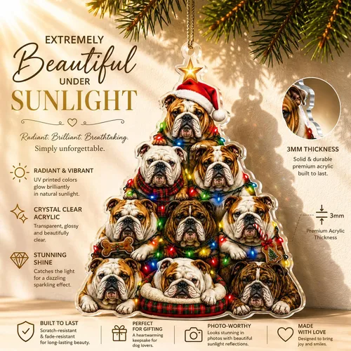 Vista 3 de Regalos de bulldog francés, Bulldog francés, regalos de Frenchie Bulldog2