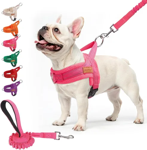 Vista 13 de BEAUTYZOO Arnés para Perros Pequeños, Juego de Arnés y Correa sin Tirones, Arnés de Pecho para Cachorros a Prueba de Escapes con Mango, Arnés Beige