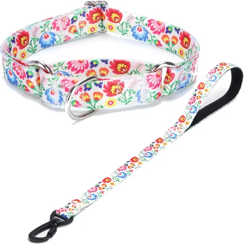 Vista 23 de Collar de perro de nailon resistente, collar ajustable de martingala para perros para caminar y entrenamiento para perros machos y hembras perros