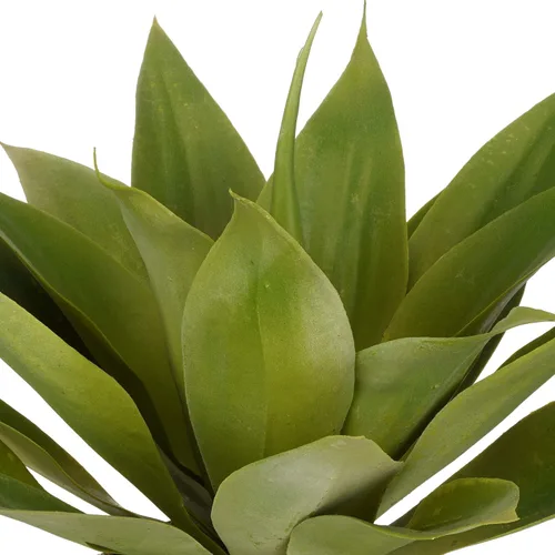 Vista 2 de House of Silk Flowers Suculenta de agave artificial (pequeño)