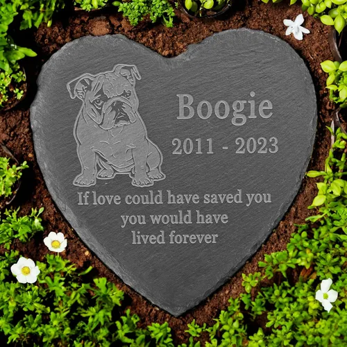 Vista 35 de Memorial personalizado de American Staffordshire Terrier, lápida de American Staffordshire Terrier, condolencias por pérdida de American