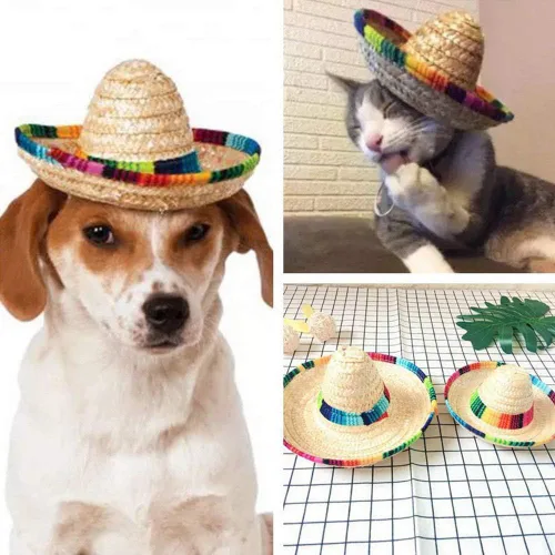 Vista 5 de Sombrero para perro, disfraz divertido para perro, ropa de chihuahua, decoraciones de fiesta mexicana