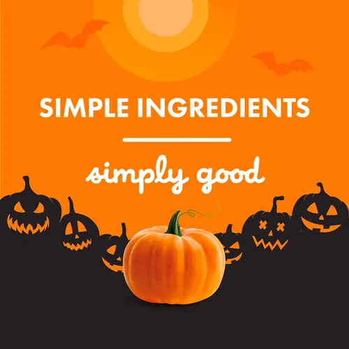 Vista 5 de Buddy Biscuits Golosinas crujientes para perros de Halloween sin trigo con calabaza, caja de 14 onzas
