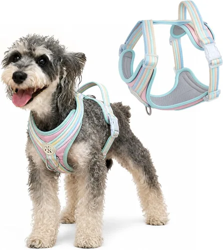 Vista 7 de Arnés para perro sin tirones, arco iris XXS, reflectante de arcoíris a rayas vibrantes, ajustable, mango suave, clip frontal y trasero, tira