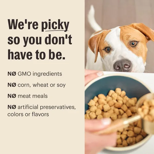 Vista 7 de The Honest Kitchen racimos de alimentos enteros libres de granos de carne de res alimento seco para perros, 1 libra