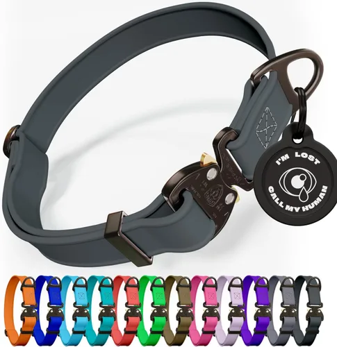 Vista 15 de Biothane - Collar de perro con hebilla de cobra, fabricado en Estados Unidos, etiqueta de identificación con código QR incluida, collares de perro