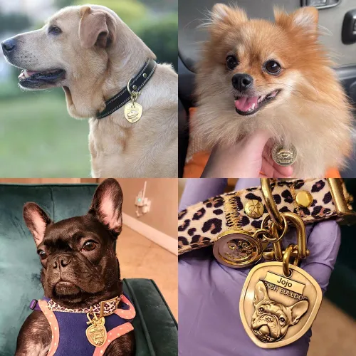Vista 2 de Collar de cuero auténtico para perro + Juego de etiqueta para perro bulldog con relieve 3D (XS-S)