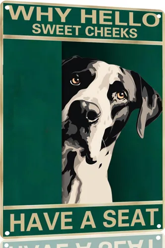 Vista 10 de Labrador Retriever - Letrero de metal con texto en inglés "Why Hello Sweet Cheeks Have A Seeks Have A Seeks" (1683)