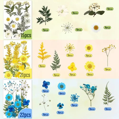 Vista 2 de Nuanchu Juego de 223 flores secas prensadas reales para manualidades, hojas secas naturales y calcomanías de mariposa, flores de margaritas