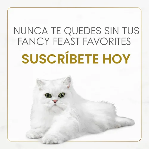 Vista 12 de Purina Fancy Feast - Comida seca para gatitos con pollo y pavo salado - Bolsa de 1.4 kg
