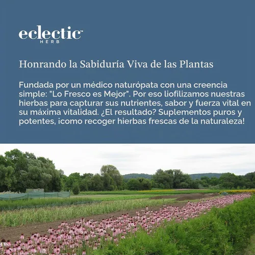 Vista 8 de Eclectic Institute Vitabiotic Immune Nuevo en cápsulas, 150 cápsulas vegetales sin OMG
