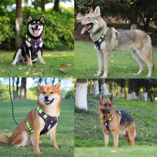 Vista 24 de Arnés para perros medianos y grandes, chaleco de servicio antitirones con asa, collar para perros pequeños y grandes, con cuello y pecho ajustables