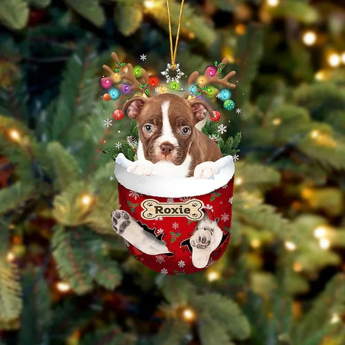 Vista 170 de LOVELYPOD Adorno Personalizado de Perro Affenpinscher, Adornos de Navidad Affenpinscher Regalo para Amante de Perros, Adorno de Navidad Colgante