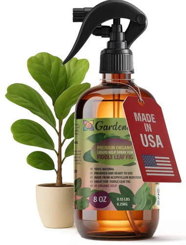 Vista 37 de GARDENERA Spray orgánico profesional de algas marinas para plantas AGLAONEMA – 8 oz – Rocío fertilizante de algas marinas y algas marinas totalmente