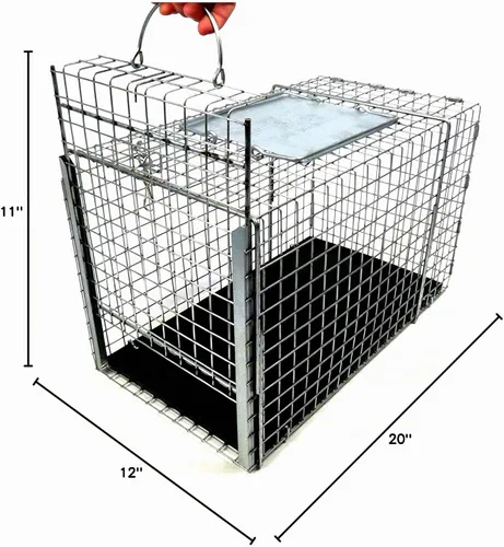 Vista 3 de Tomahawk Live Trap - Modelo 306NC - Jaula de transferencia Tomahawk serie TNR - 20x11x12