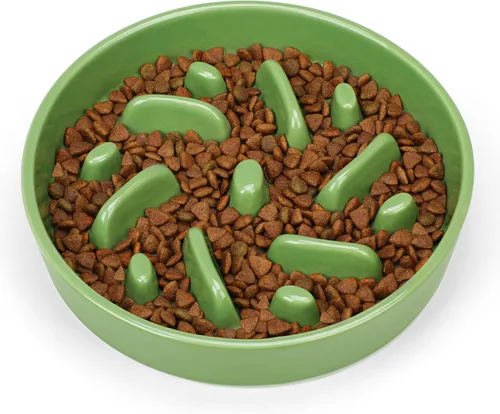 Vista 2 de Cuenco de cerámica para perros de alimentación lenta, 2 tazas de plato de Laberinto - Verde