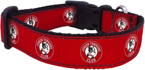 Vista 38 de Collar de Perro Universitario (Pequeño, Fuerza Aérea)