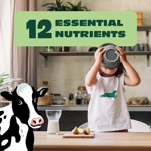Vista 5 de Organic Valley, Leche orgánica 2% reducida en grasa, ultra pasteurizada, cuarto de galón, 32 onzas