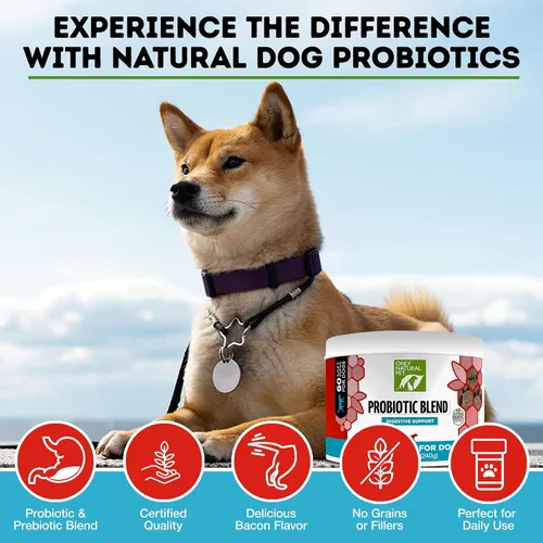 Vista 3 de Only Natural Pet Suplemento probiótico para perros y gatos, fórmula enzimática para la salud digestiva y intestinal, masticables digestivos