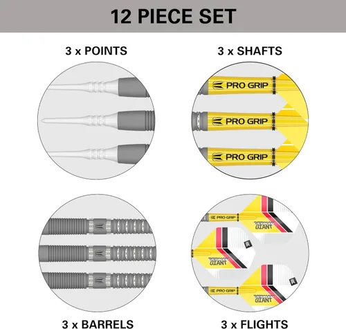 Vista 5 de Target Darts Gabriel Clemens Gen 2 19G 90% tungsteno punta suave juego de dardos