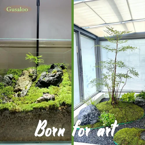 Vista 4 de Musgo verde para manualidades, musgo artificial decorativo para plantas en maceta, orquídea sintética, musgo, mezcla de tierra, turba, esfagno