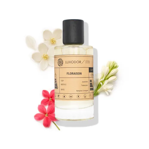 Vista 14 de Inspirado en S.antal 33 Eau De Parfum Perfume de madera de sándalo y madera, 3.4 fl oz (3.4 fl oz) con aceite concentrado, Perfume unisex S.antal