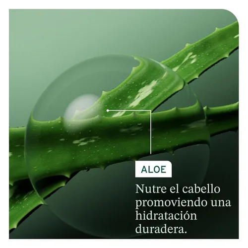 Vista 6 de Biolage Hydra Source Deep Treatment Mask – For Dry Hair