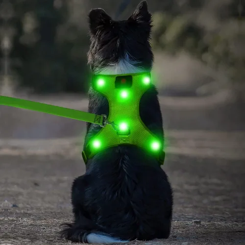 Vista 7 de Flashseen Arnés LED para perro, arnés para mascotas recargable por USB, chaleco reflectante iluminado, ajustable, suave, acolchado, sin tirones