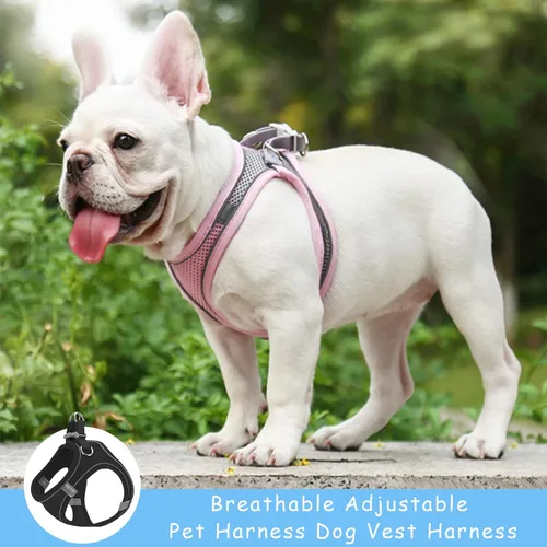 Vista 6 de Arnés sin tirones para perros pequeños, de malla transpirable, reflectante, para cachorros, gatos, chaleco ajustable para animales pequeños, conejo