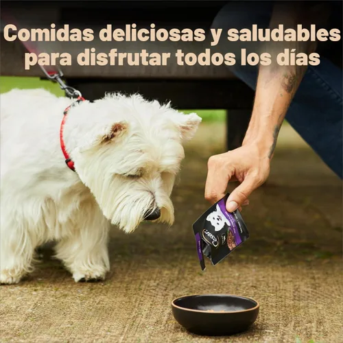 Vista 9 de Cesar Mini-Pouch - Alimento húmedo para perros, sabor a carne Angus, 1.76 onzas, 20