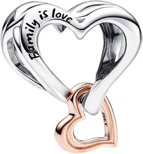Vista 22 de Annmors S925 Sterling Silver Charms for Womens Pandora Moments Bracelets