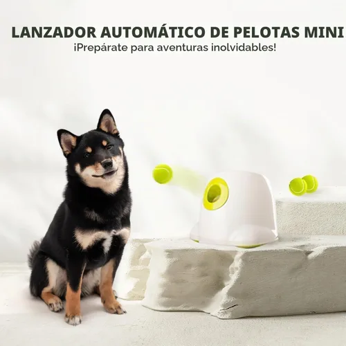 Vista 7 de ALL FOR PAWS Lanzador automático de bolas para perros, máquina interactiva para mascotas, lanzador de bolas para interiores, 3 bolas incluidas