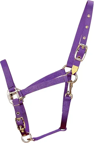 Vista 12 de Hamilton, Halter de 1 pulgada con barbilla ajustable, azul baya, 800-1100 libras
