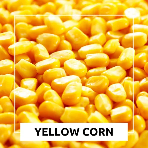 Vista 4 de Maíz amarillo de grano entero de 25 lb