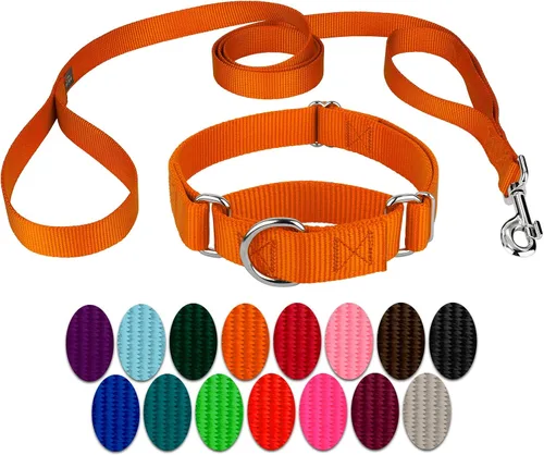 Vista 24 de Country Brook Design - Collar de perro de nailon Martingale y correa de doble asa-Negro-S
