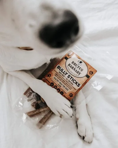 Vista 9 de BRUTUS & BARNABY Bully Sticks para Perros, 6" – Bajo a Sin Olor, Alimentados con Pasto, Masticables Sin Cuero Crudo para Masticadores Agresivos