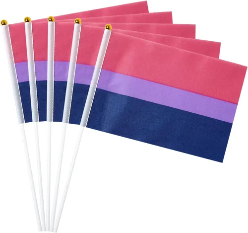 Vista 13 de GentleGirl Paquete de 12 banderas de arco iris del orgullo asexual, pequeñas banderas de mano gay LGBT Festival Fiesta Desfiles Decoraciones